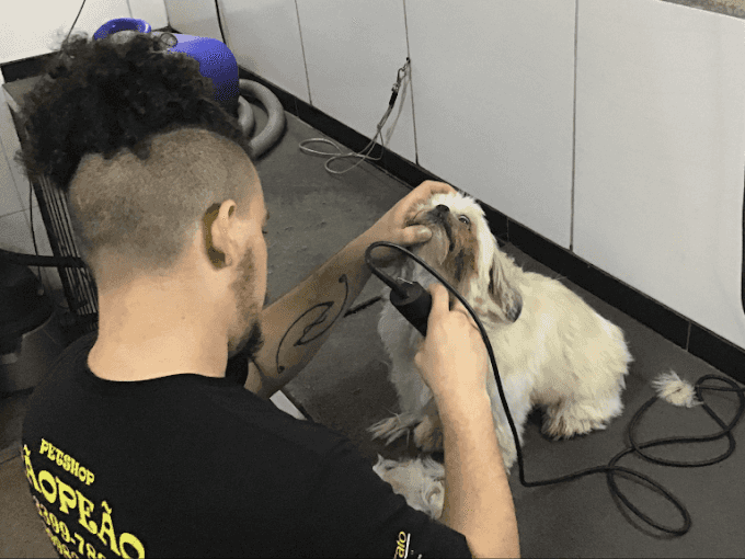 About Image